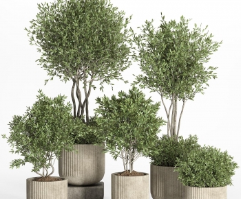Modern Ground Green Plant Potted Plants-ID:842550041