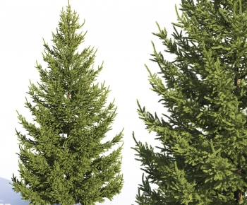 Modern Tree-ID:404395101