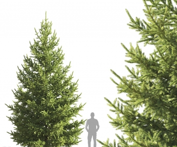 Modern Tree-ID:936752084