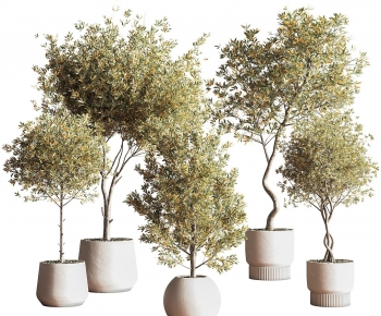 Modern Potted Green Plant-ID:178129919