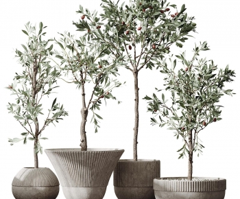 Modern Potted Green Plant-ID:658566001