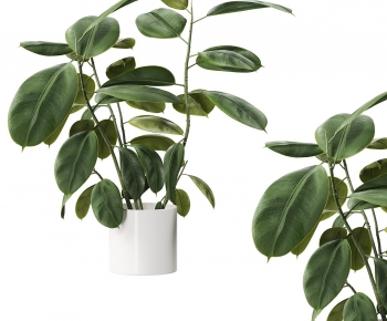 Modern Ground Green Plant Potted Plants-ID:831162937