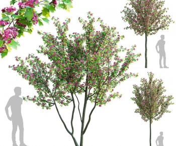 Modern Tree-ID:521533012