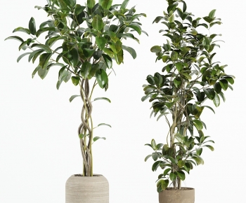 Modern Ground Green Plant Potted Plants-ID:737406978