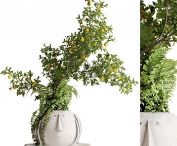 Modern Desktop Plant-ID:756491901