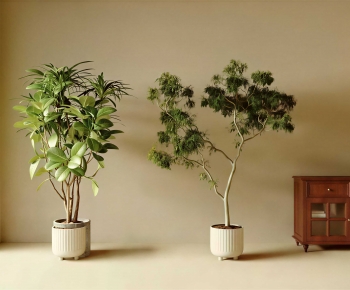 Modern Ground Green Plant Potted Plants-ID:967293981