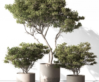 Modern Ground Green Plant Potted Plants-ID:367688896