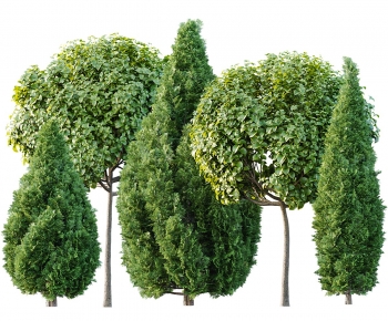 Modern Tree-ID:243063933