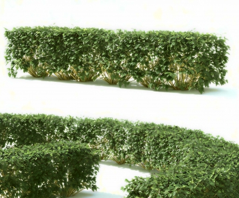 Modern Shrubbery-ID:473243955