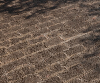 Modern Ground-ID:892978919