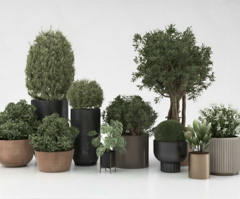 Modern Potted Green Plant-ID:680438049