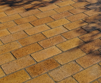 Modern Wall/floor/ceiling-ID:562829022