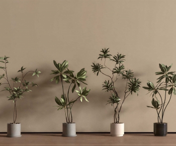 Modern Ground Green Plant Potted Plants-ID:387190103