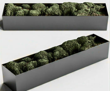 Modern Flower Bed, Flower Bowl, Flower Box-ID:192560912