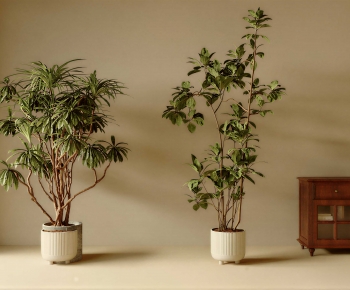 Modern Ground Green Plant Potted Plants-ID:388181921
