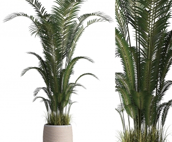 Modern Potted Green Plant-ID:475788122