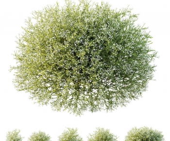 Modern Shrubbery-ID:114175083