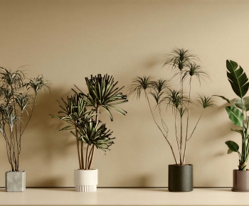 Modern Ground Green Plant Potted Plants-ID:190187935