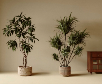 Modern Ground Green Plant Potted Plants-ID:333681162
