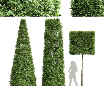 Modern Tree-ID:610202078