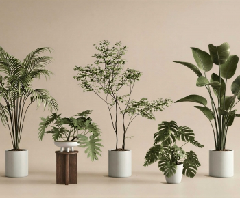 Modern Ground Green Plant Potted Plants-ID:642261983