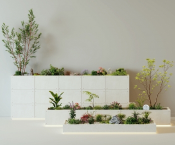Modern Plant Landscaping-ID:453128834