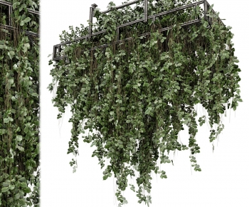 Modern Shrubbery-ID:249865064