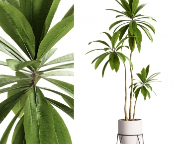 Modern Ground Green Plant Potted Plants-ID:300710924