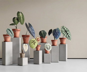Modern Ground Green Plant Potted Plants-ID:338740118