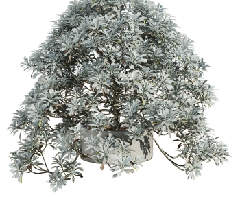 Modern Shrubbery-ID:700825936