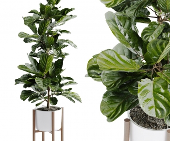 Modern Potted Green Plant-ID:469743012