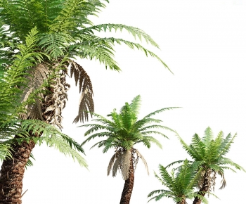 Modern Tree-ID:454404124
