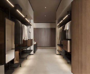 Modern Clothes Storage Area-ID:333237896