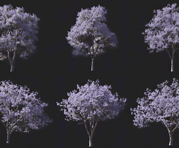 Modern Tree-ID:428246976