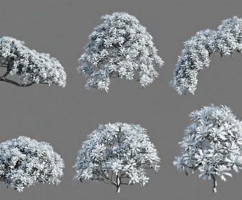 Modern Tree-ID:874648092
