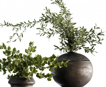 Modern Potted Green Plant-ID:859398862