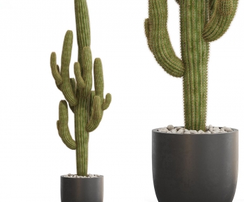 Modern Potted Green Plant-ID:978120097