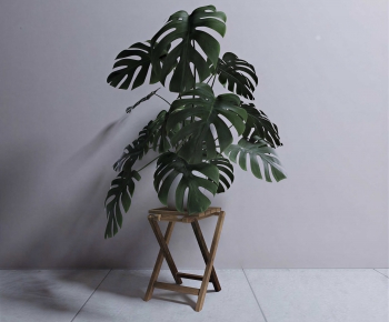 Modern Potted Green Plant-ID:702594041