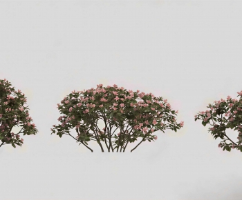 Modern Shrubbery-ID:623425962