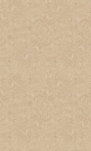 ModernWood Texture