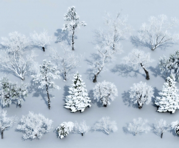 Modern Tree-ID:772089967