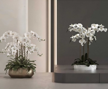 Modern Ground Green Plant Potted Plants-ID:885557894