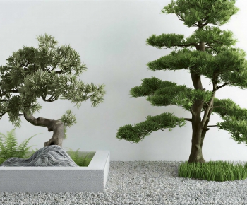 Modern Garden-ID:487207897