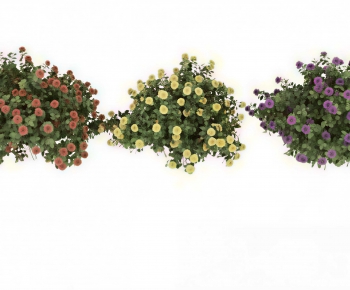 Modern Shrubbery-ID:236486918