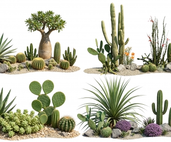 Modern Plant Landscaping-ID:682775023