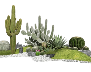 ModernPlant Leaves