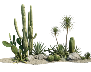 ModernPlant Leaves