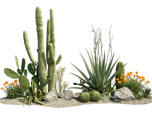 ModernPlant Leaves