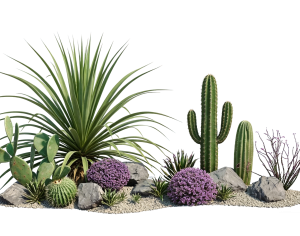 ModernPlant Leaves