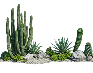 ModernPlant Leaves